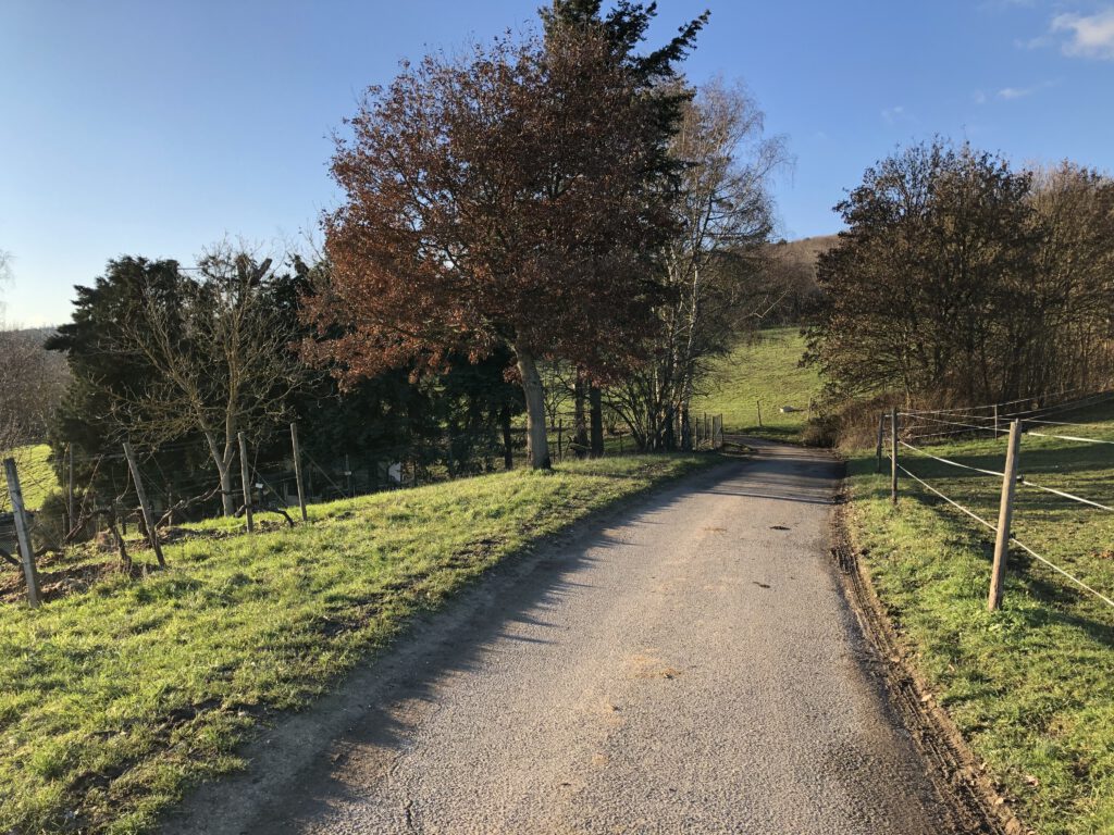 Rundweg Hallgarten