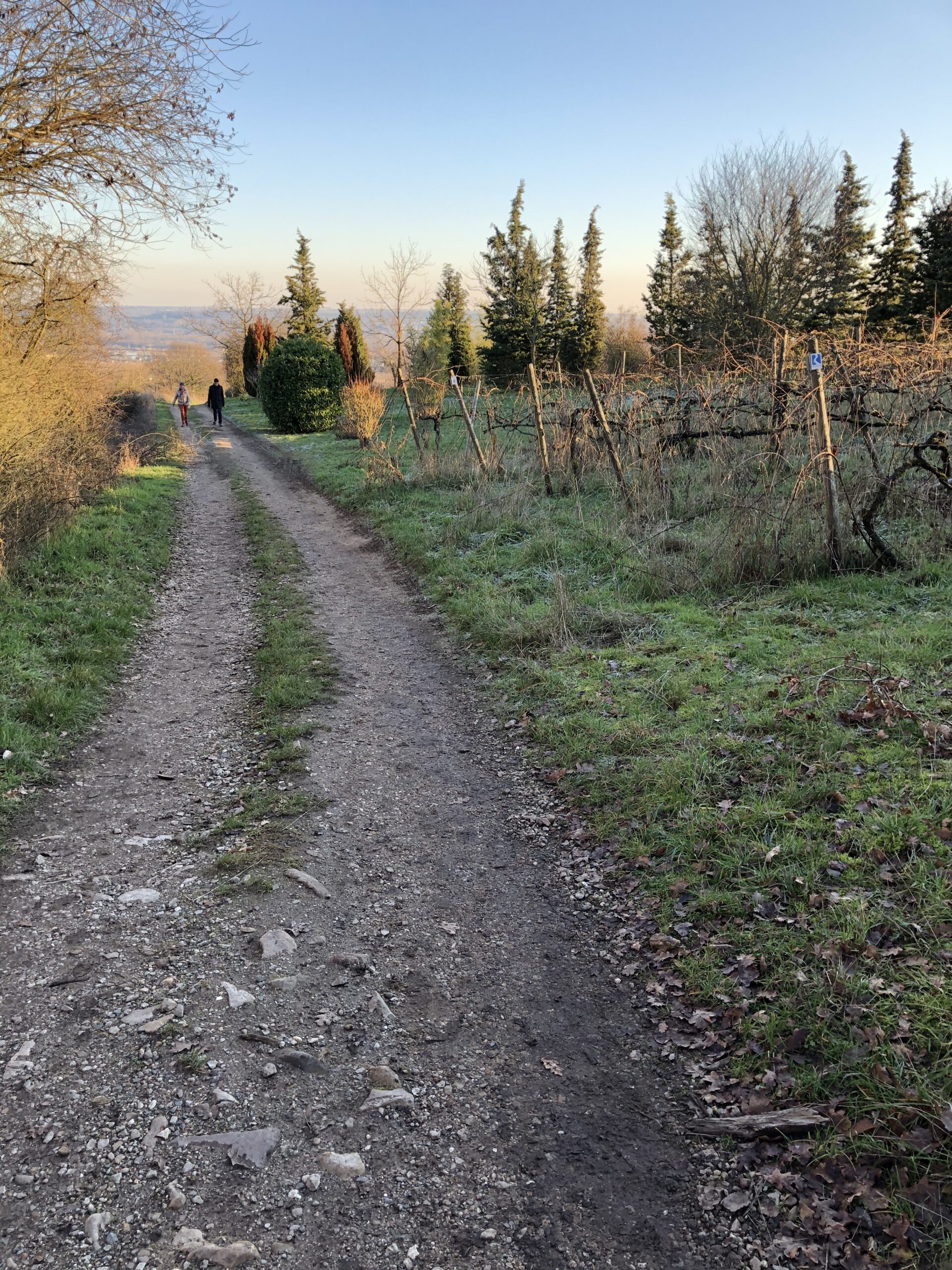 Rundweg Hallgarten