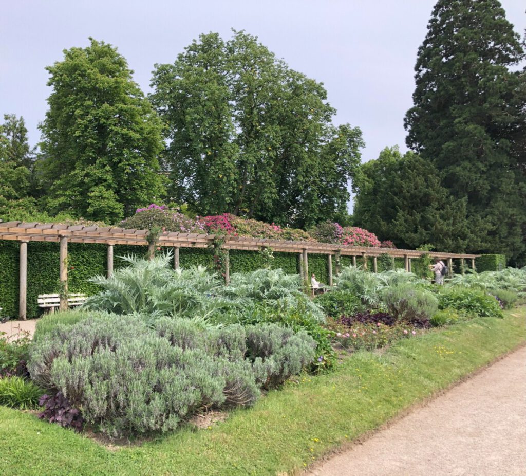 Baden-Baden