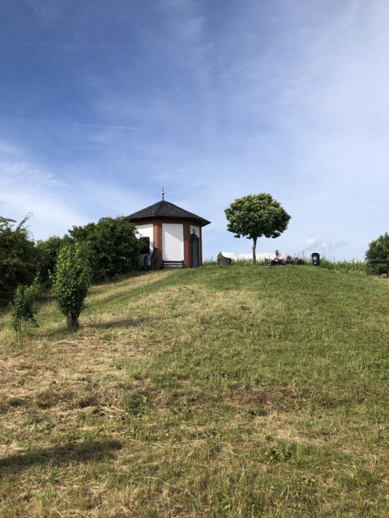 Rhein und Reben
