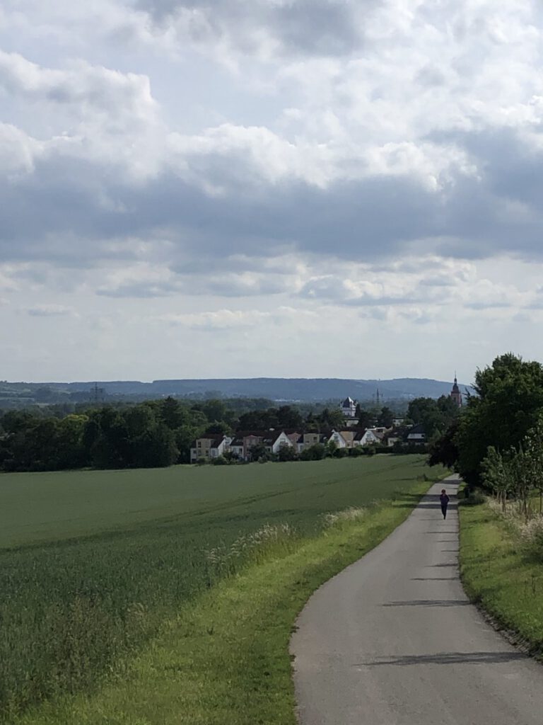 Rhein und Reben