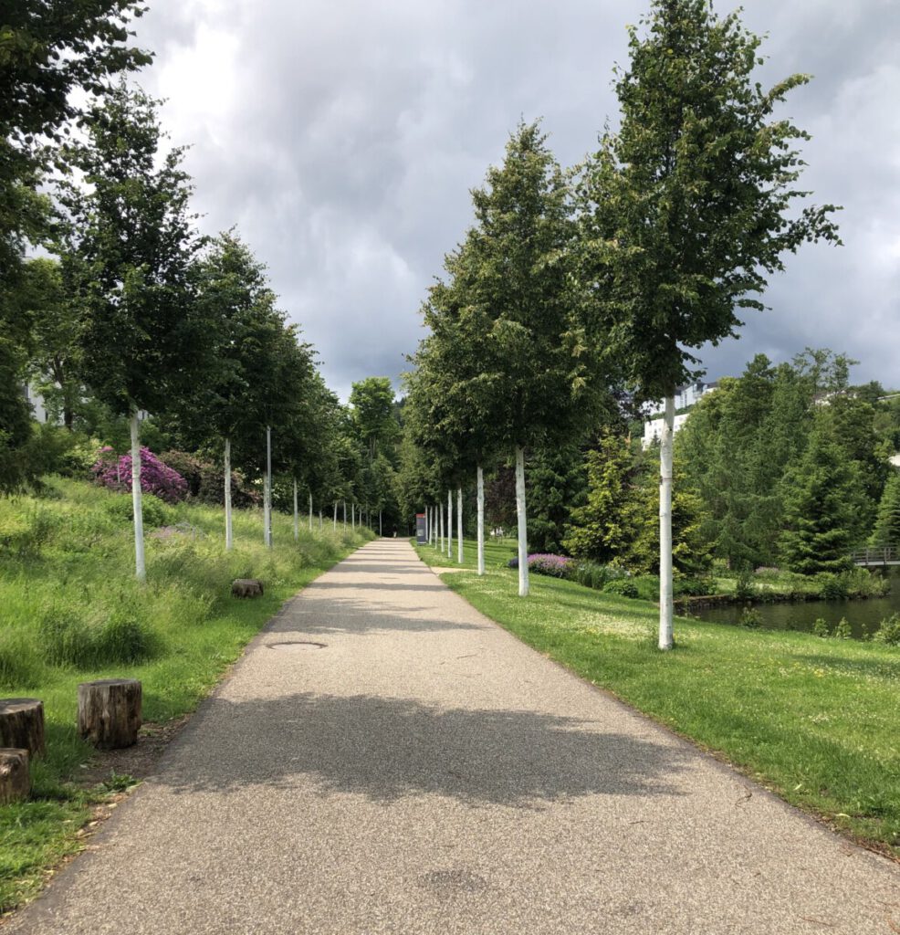 Wisper Trail Kurschatten