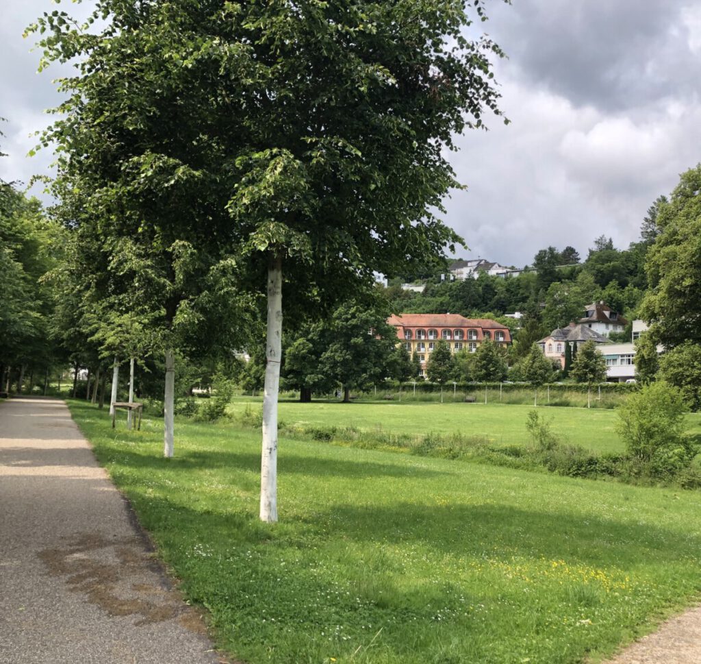 Wisper Trail Kurschatten