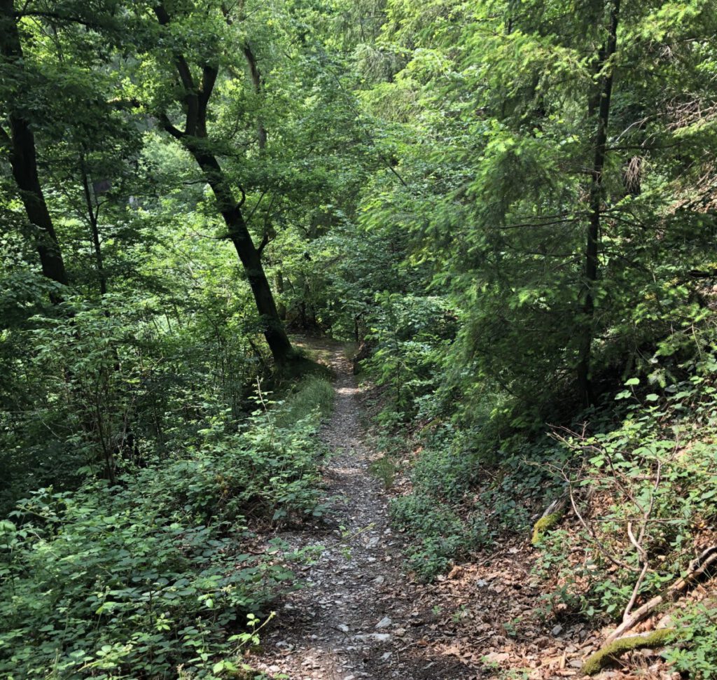 Wisper Trail Kurschatten