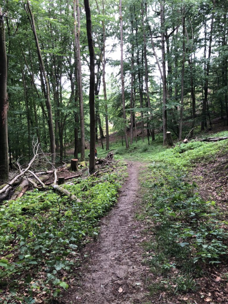 Wisper Trail Kurschatten