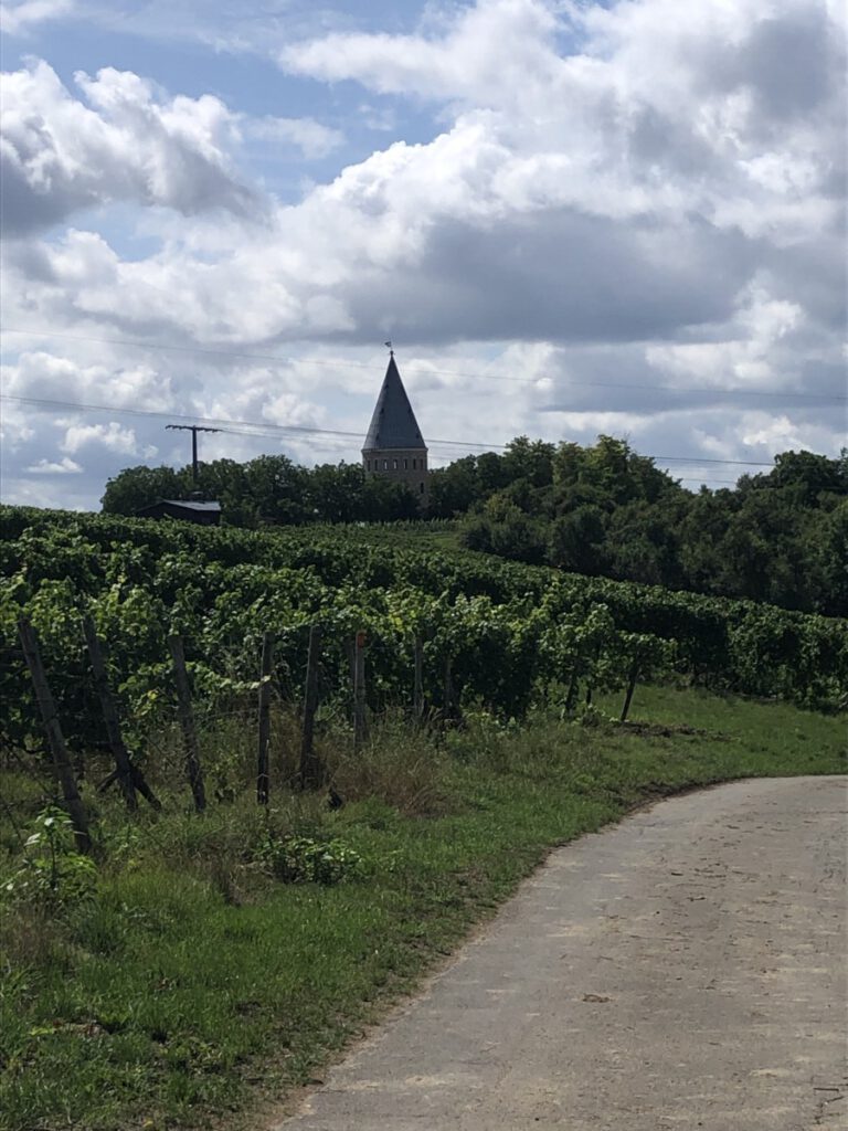 Riesling Schleife Flörsheimer Warte