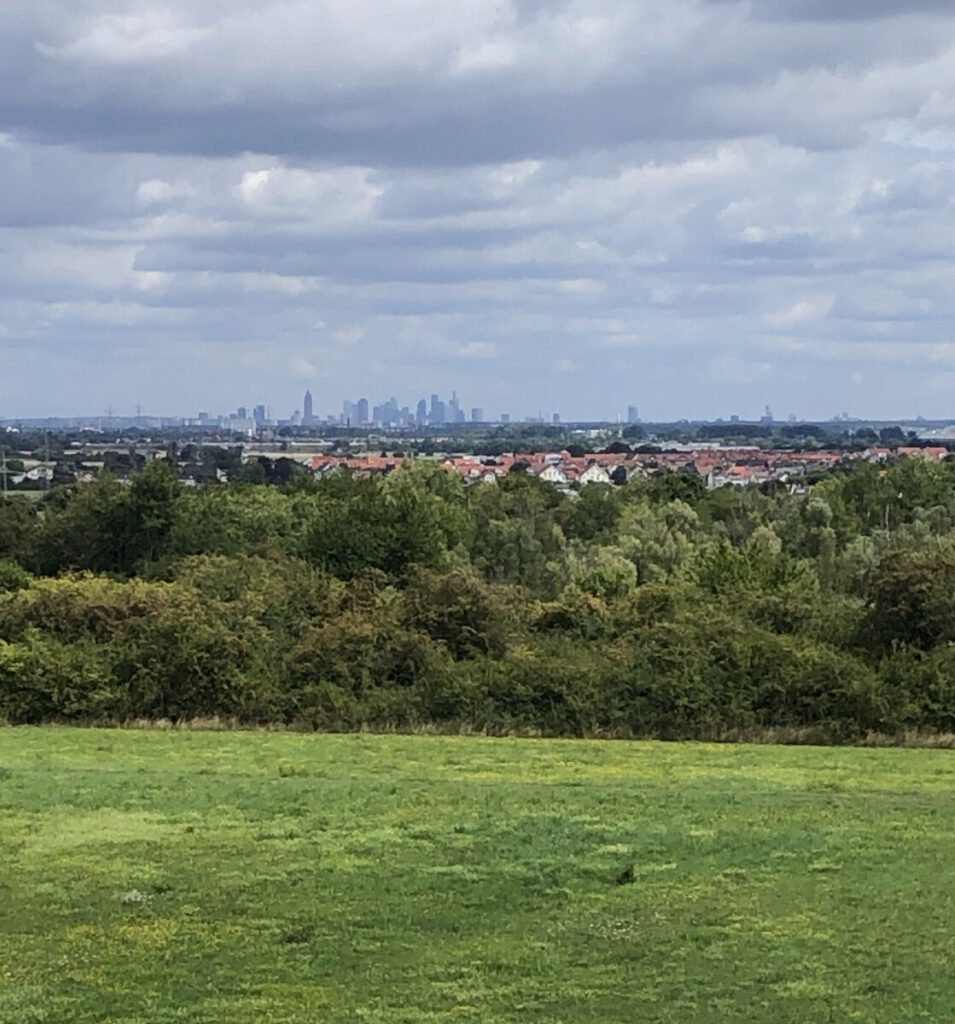 Skyline-Blick vom Eisenbaum