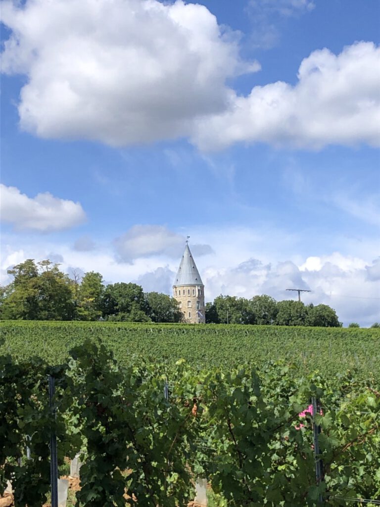 Riesling Schleife Flörsheimer Warte