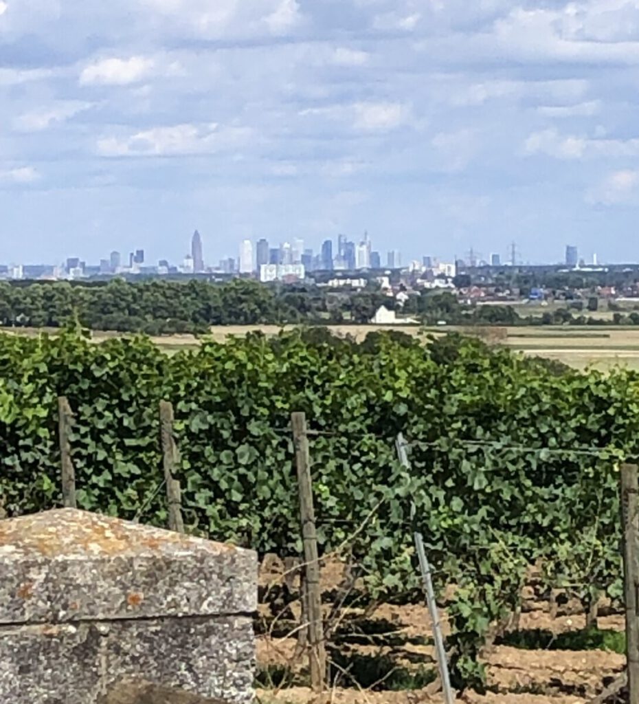 Flörsheimer Warte Skyline Frankfurt