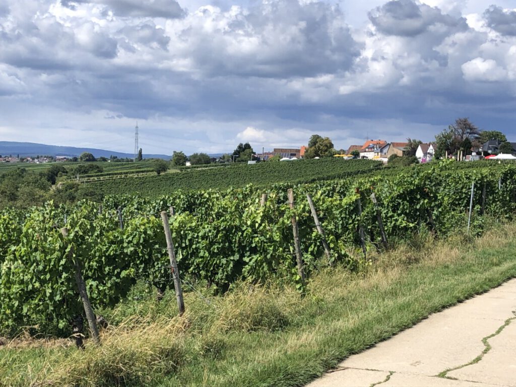 Richtung Wicker