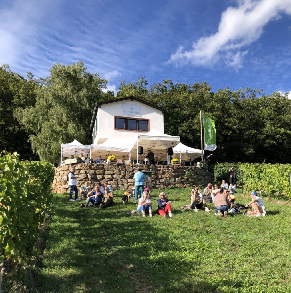 Weinbergshaus by Diefenhardt  Alleskönner Riesling