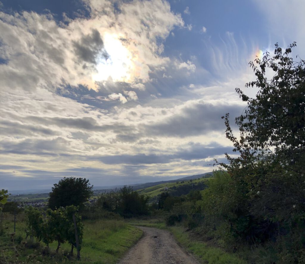 Auf Silvester folgt ein Neues Jahr