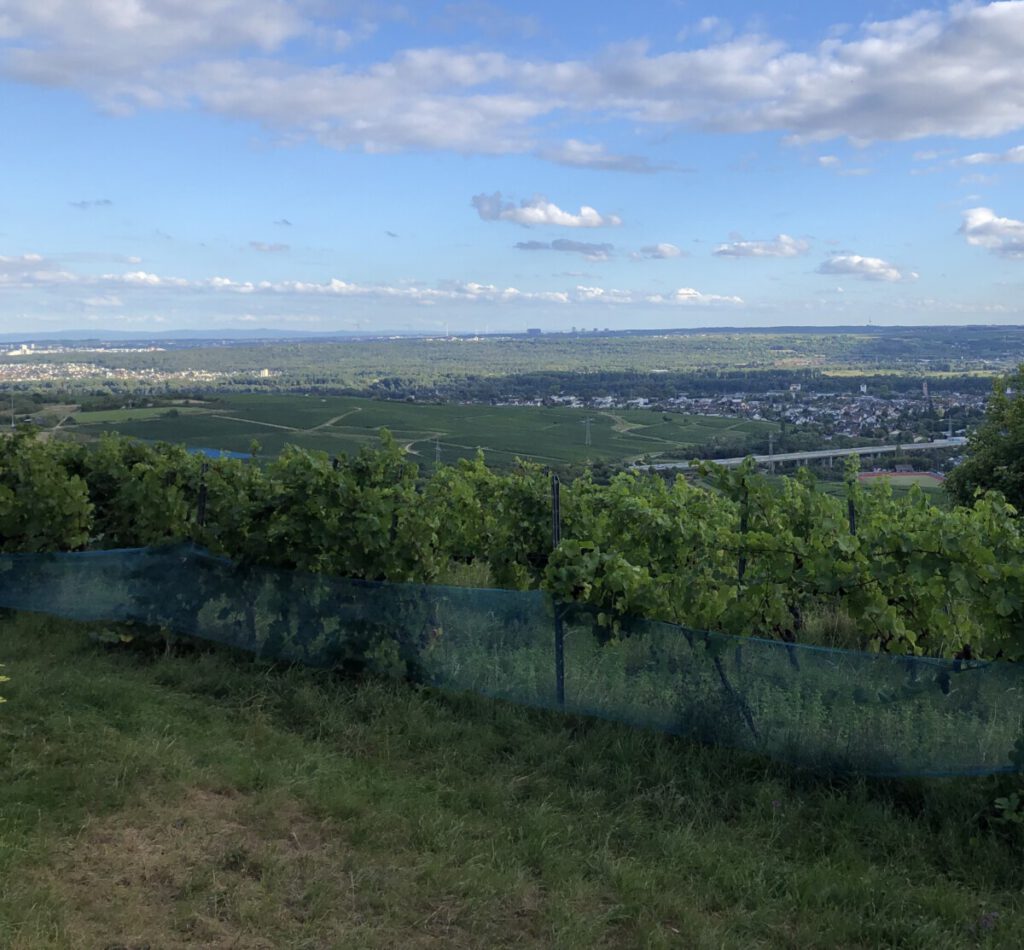 Bubenhäuser Höhe