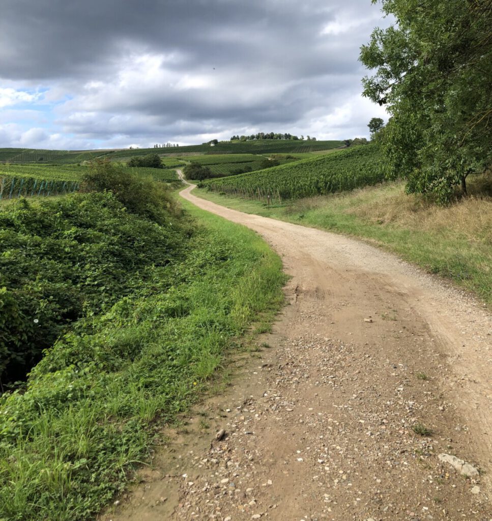 Blick auf Bubenhäuser Höhe