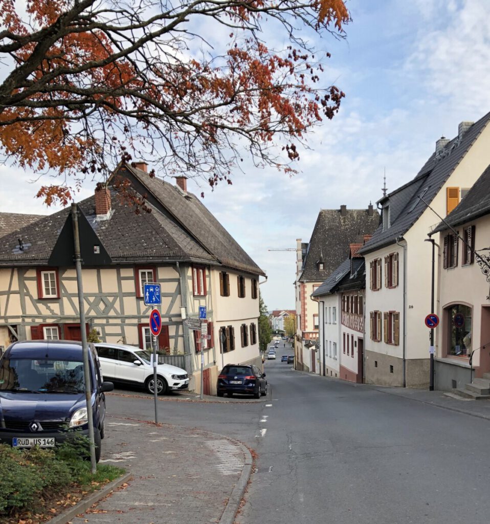 Riesling Schleife Kiedrich Terroir? Terroir!