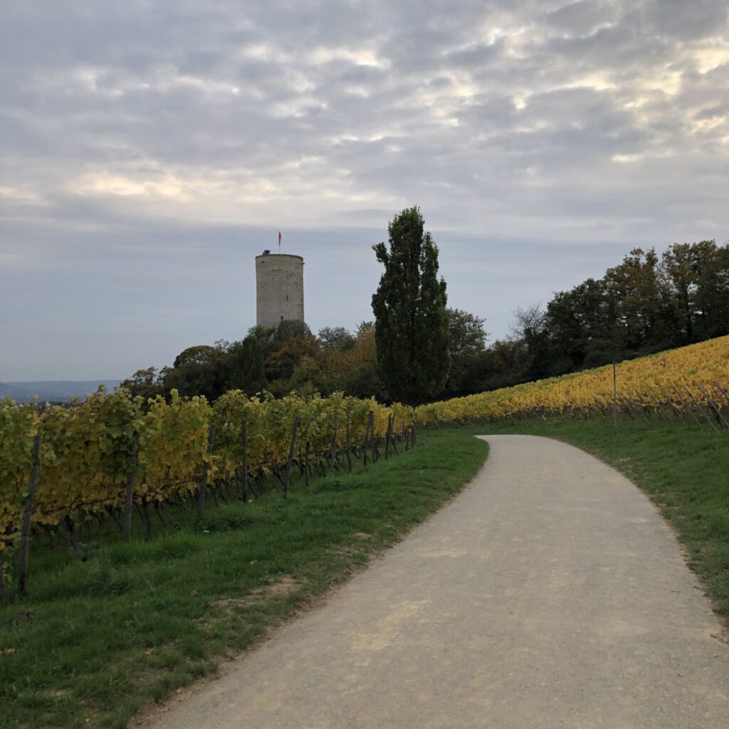 Riesling Schleife Kiedrich Terroir? Terroir!