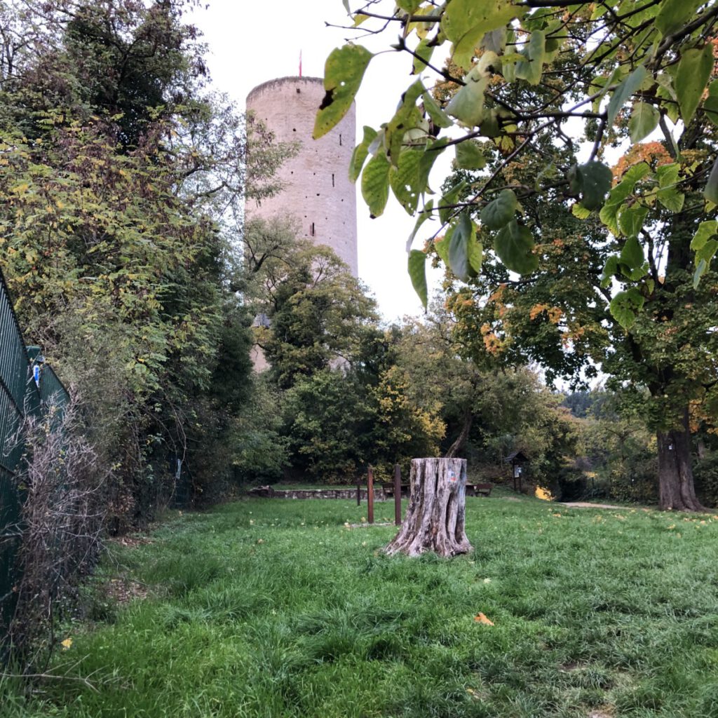 Riesling Schleife Kiedrich Terroir? Terroir!