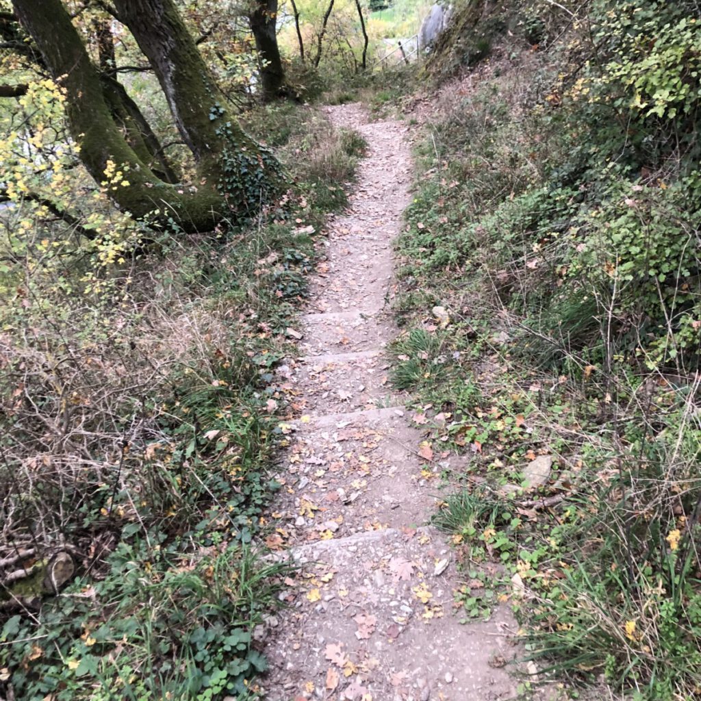 Riesling Schleife Kiedrich Terroir? Terroir!