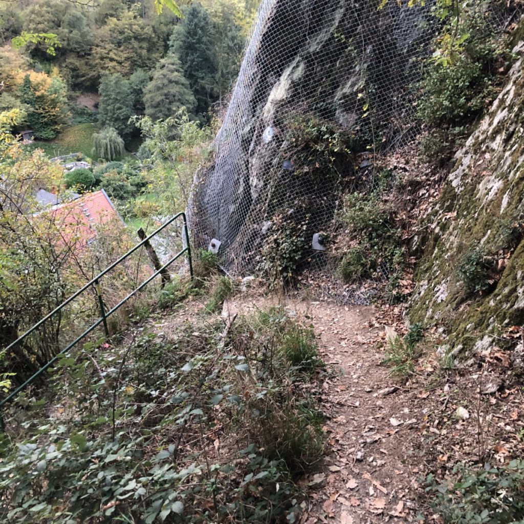 Riesling Schleife Kiedrich Terroir? Terroir!
