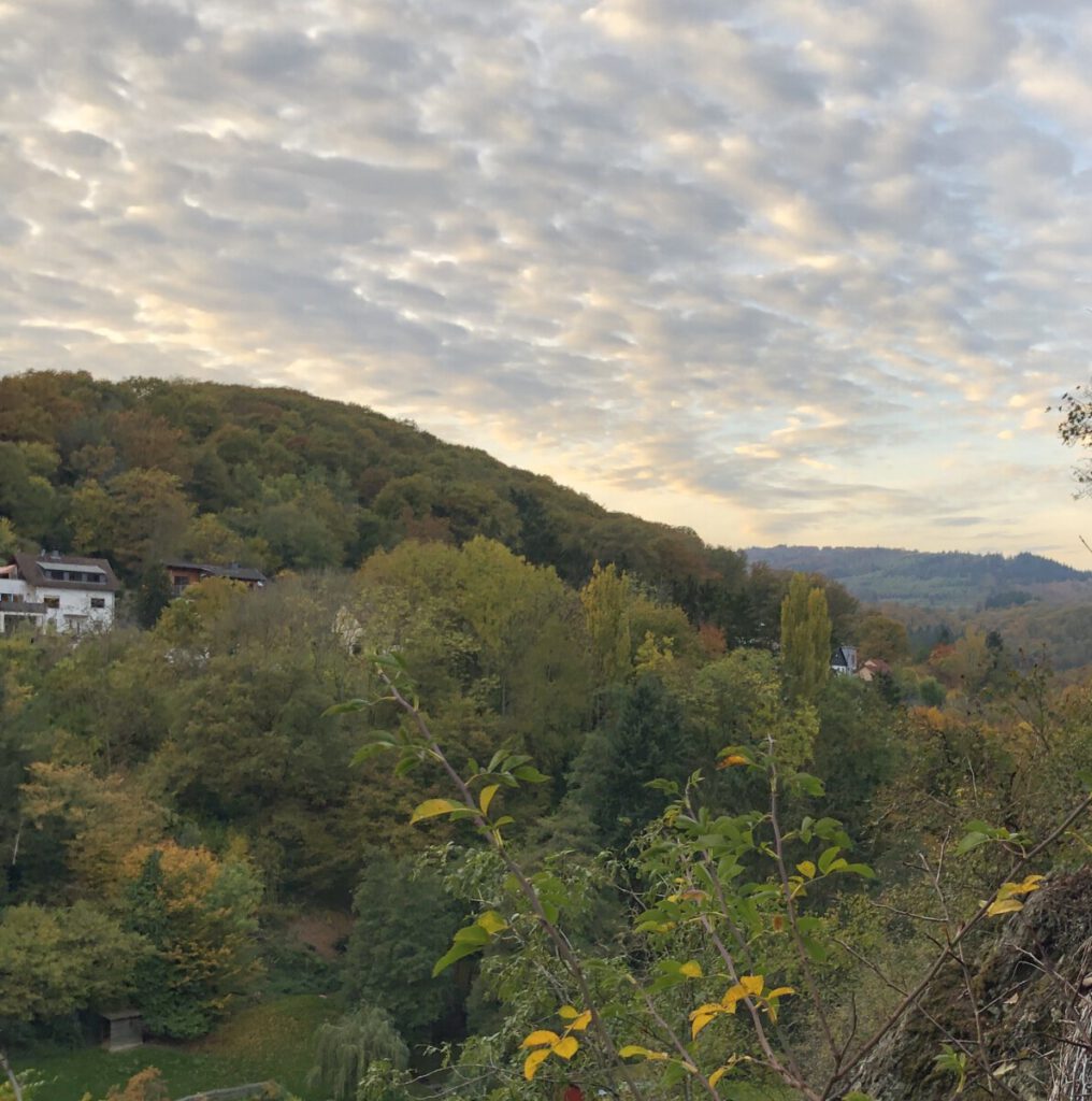 Riesling Schleife Kiedrich Terroir? Terroir!