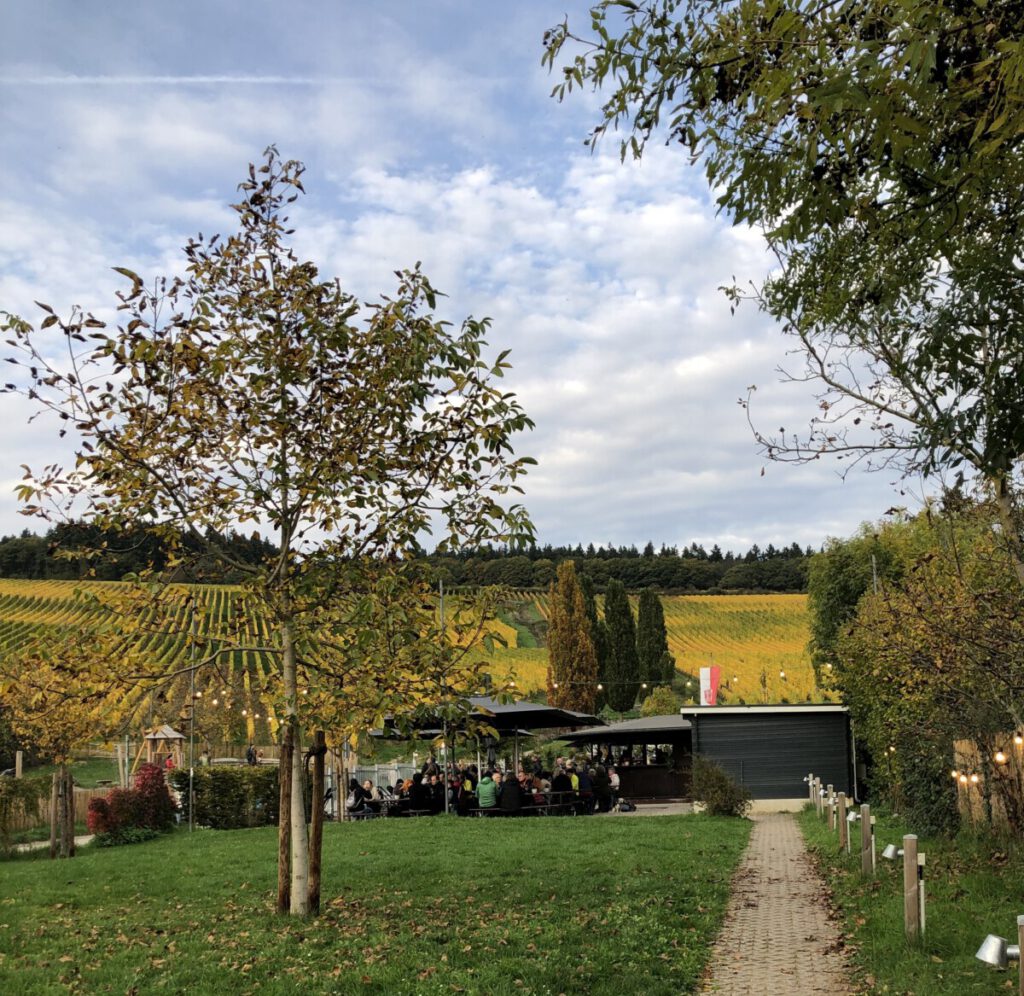 Riesling Schleife Kiedrich Terroir? Terroir!