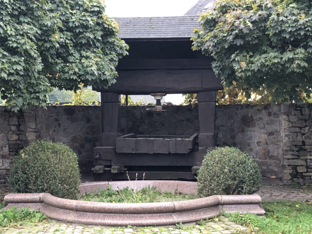 Spätlesereiter Riesling Schleife Nr. 3