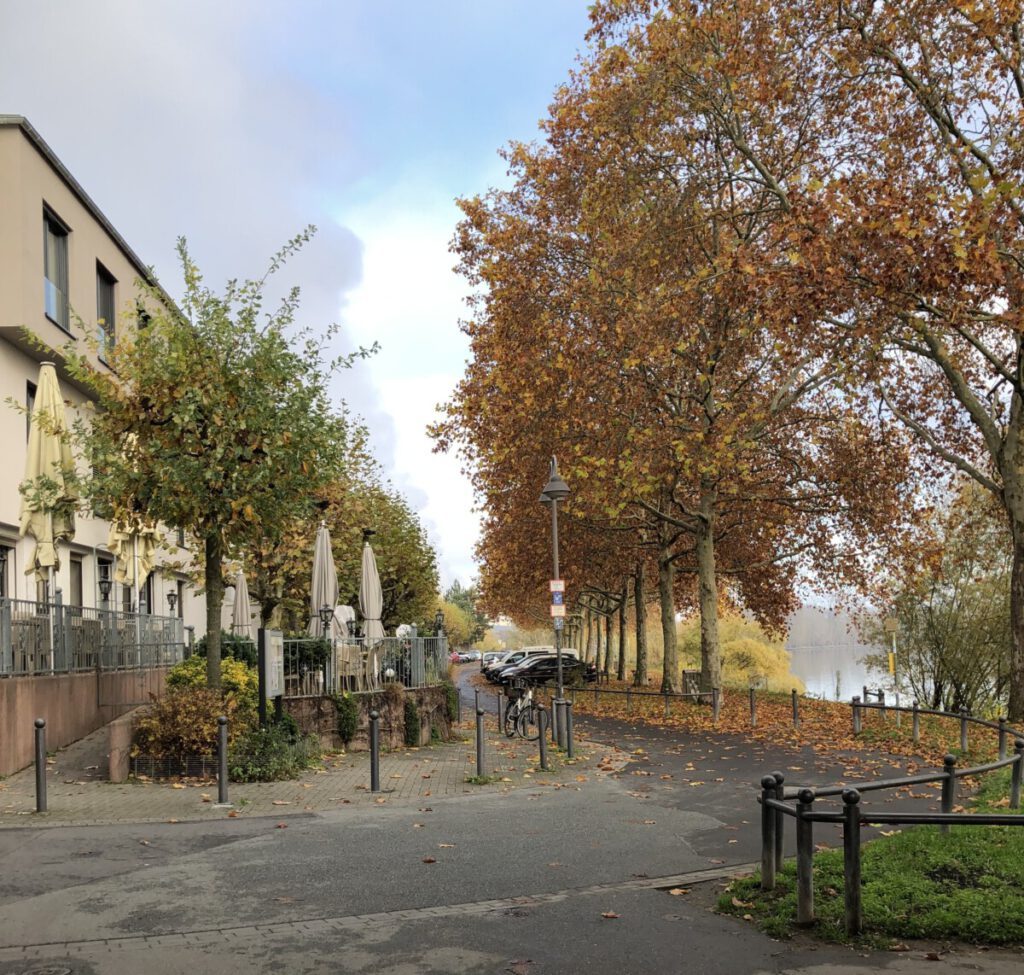Riesling Schleife Löss und Lehm