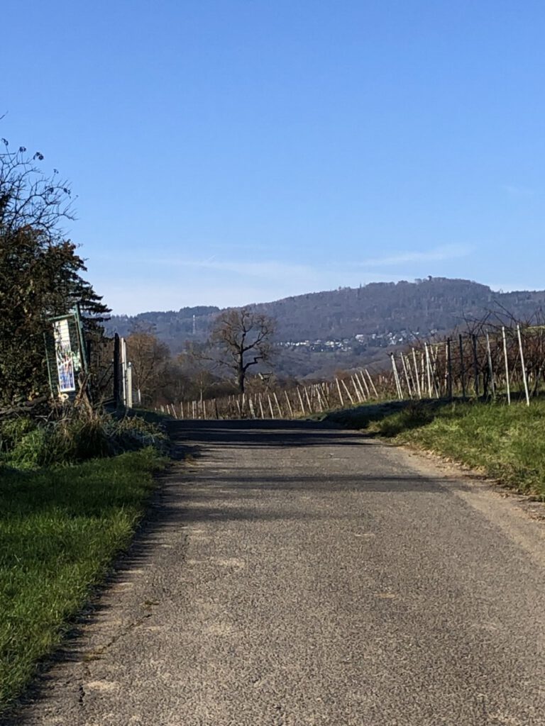 Riesling Schleife Kräuter und Blumen