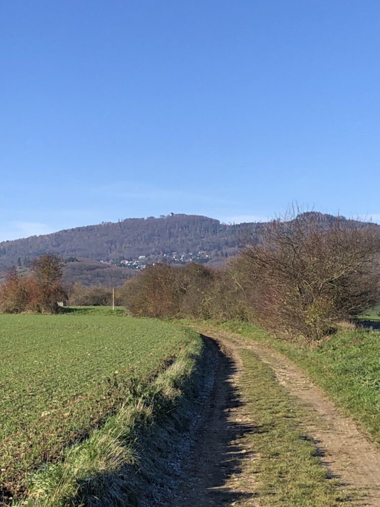 Riesling Schleife Kräuter und Blumen