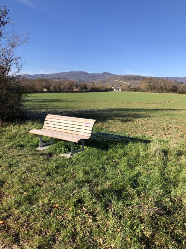 Riesling Schleife Kräuter und Blumen