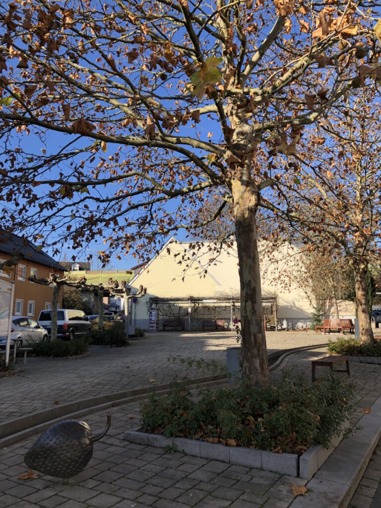 Riesling Schleife Kräuter und Blumen