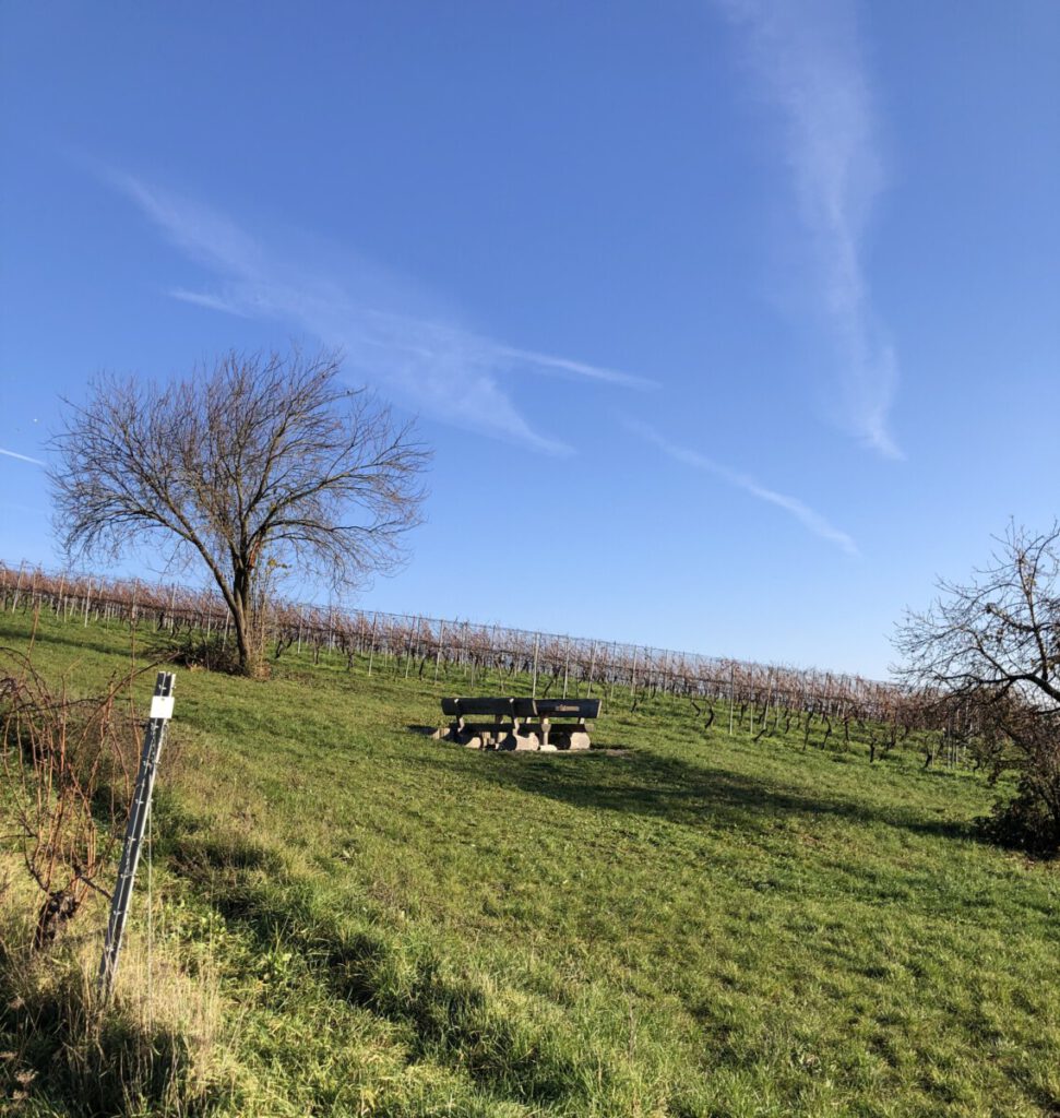 Riesling Schleife Kräuter und Blumen