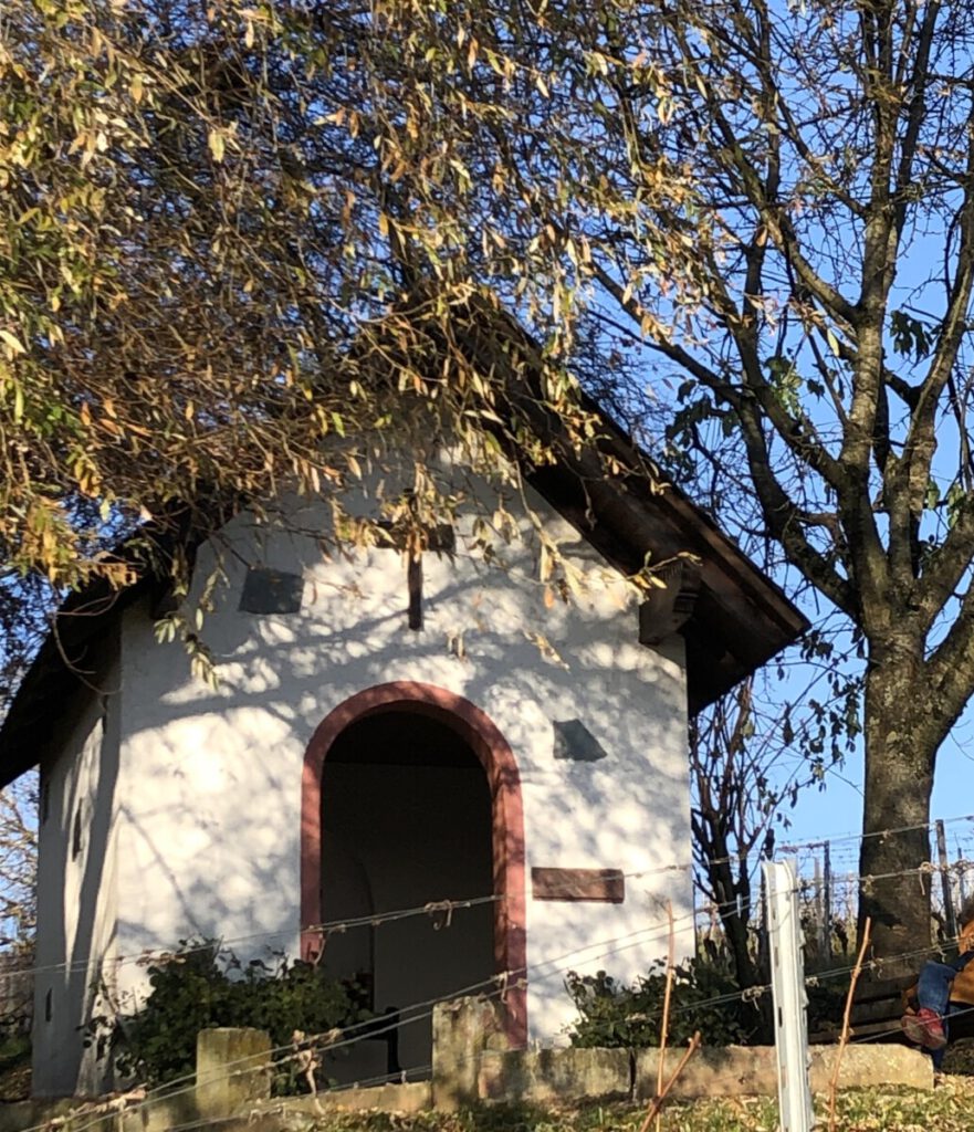 Riesling Schleife Kräuter und Blumen