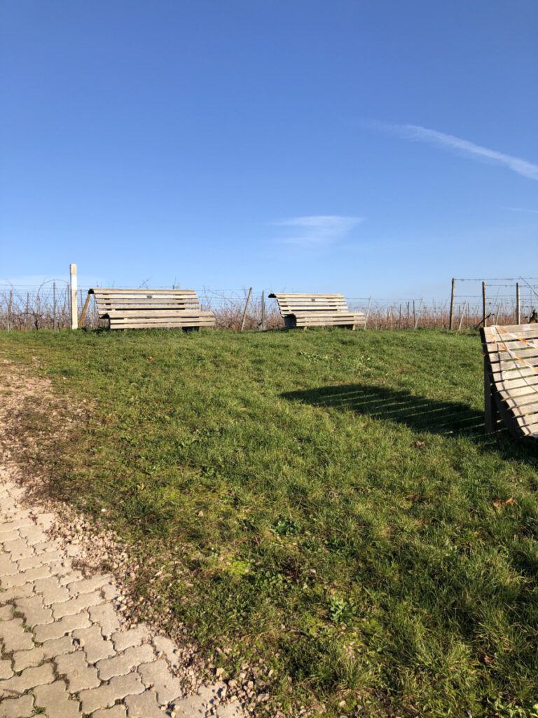 Riesling Schleife Kräuter und Blumen