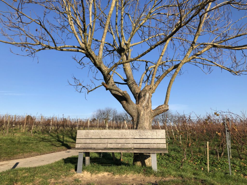 Riesling Schleife Kräuter und Blumen