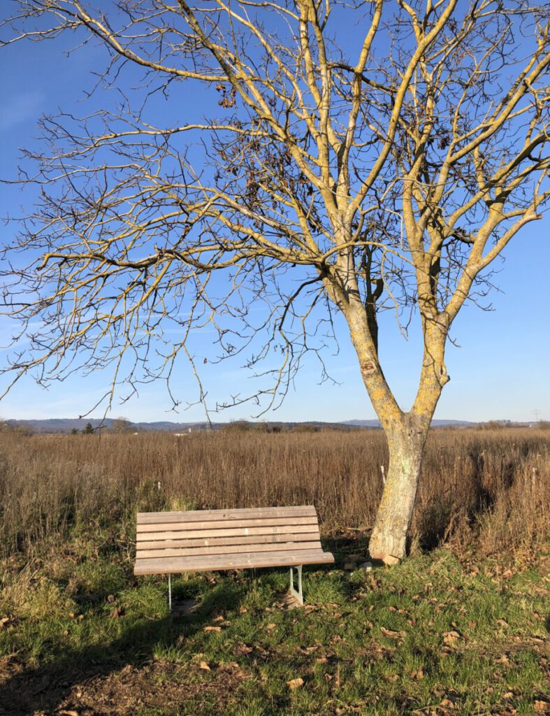 Riesling Schleife Kräuter und Blumen
