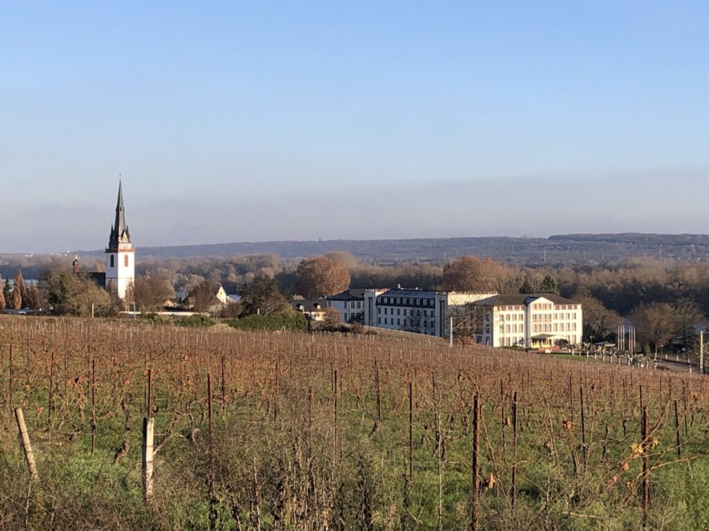 Riesling Schleife Kräuter und Blumen