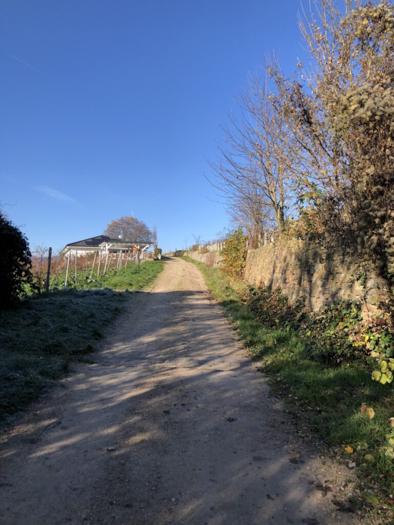 Riesling Schleife Kräuter und Blumen