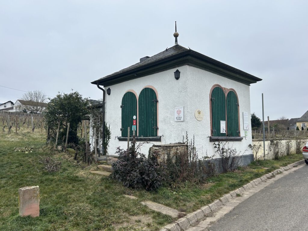 Riesling Schleife Hallgarter Sonnenrunde