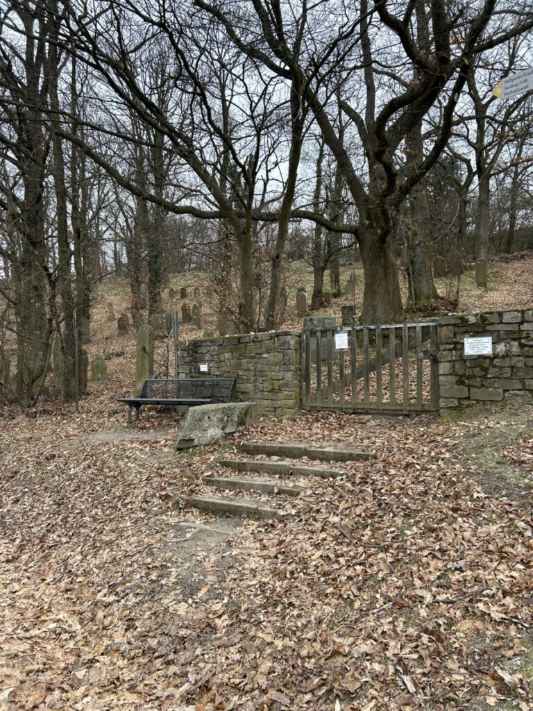 Riesling Schleife Hallgarter Sonnenrunde