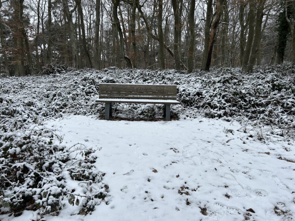 Riesling Schleife Hallgarter Sonnenrunde