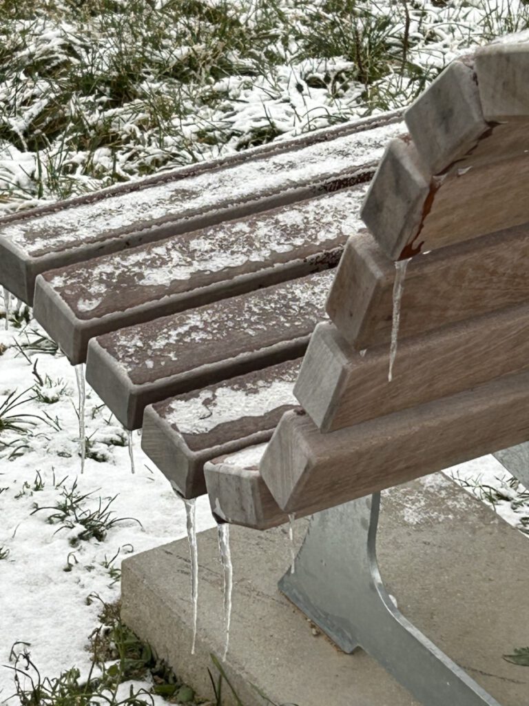 Riesling Schleife Hallgarter Sonnenrunde