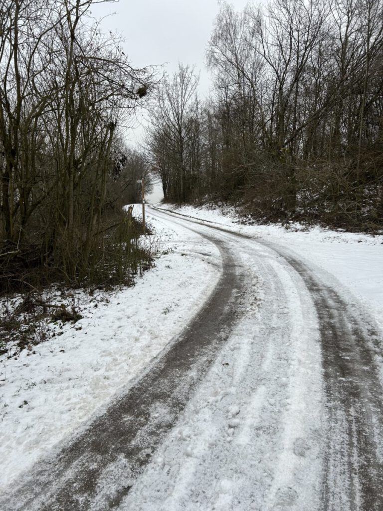Riesling Schleife Hallgarter Sonnenrunde