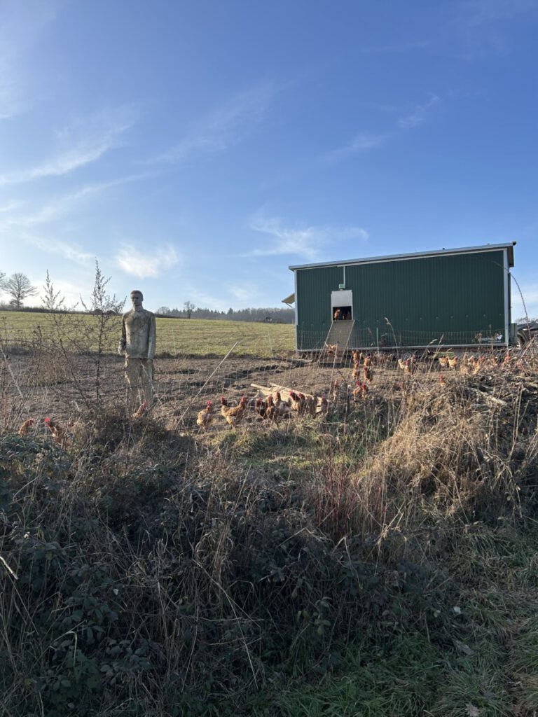 Riesling Schleife Himmel und Höllenberg