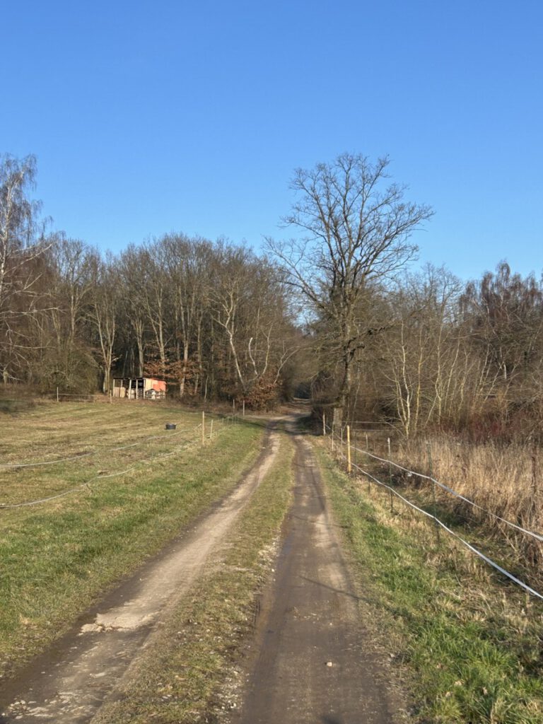 Riesling Schleife Himmel und Höllenberg