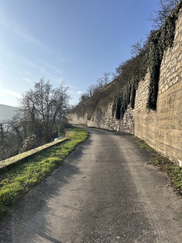 Riesling Schleife Himmel und Höllenberg