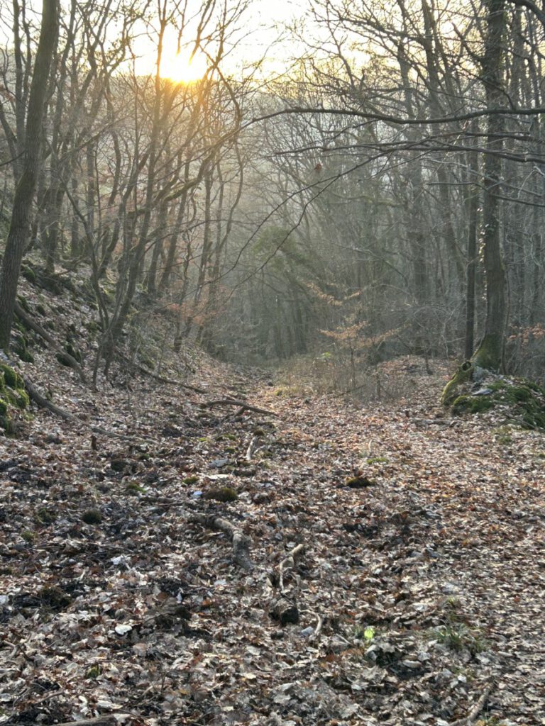Riesling Schleife Himmel und Höllenberg