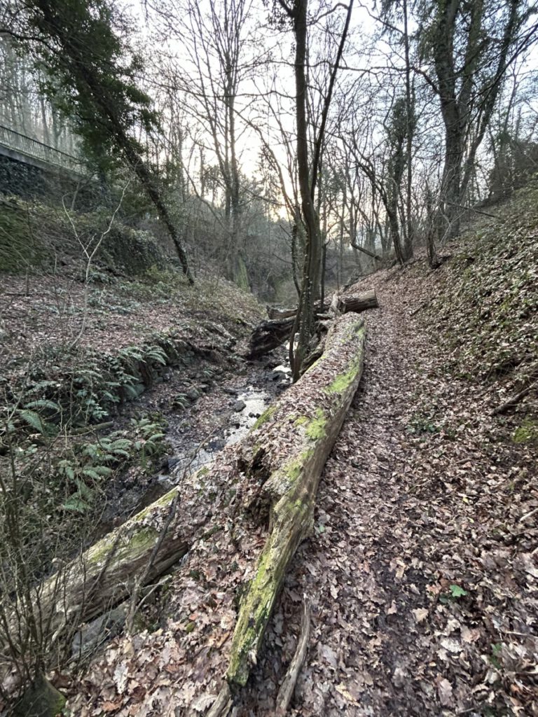 Riesling Schleife Himmel und Höllenberg