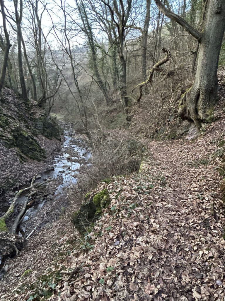Riesling Schleife Himmel und Höllenberg