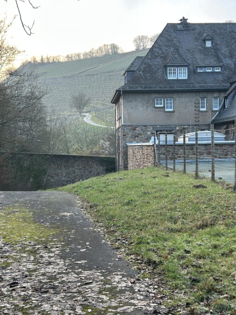 Vorbei am Staatsweingut Aßmannshausen und dann parallel zur Hauptstraße entlang zurück zum Parkplatz.